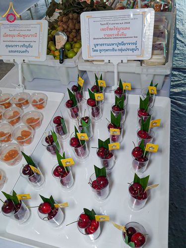 ภาพ No.193639:สาธุชนถวายภัตตาหารเป็นสังฆทาน แด่พระธรรมยาตรา ณ อนุสรณ์สถานคลองบางนางแท่น อ.สามพราน จ.นครปฐม ในโครงการธรรมยาตรา กตัญญูบูชา มหาปูชนียาจารย์ พระมงคลเทพมุนี(สด จนฺทสโร) พระผู้ปราบมาร อนุสรณ์สถาน 7 แห่ง ปีที่ 13 วันที่ 11 มกราคม พ.ศ. 2568