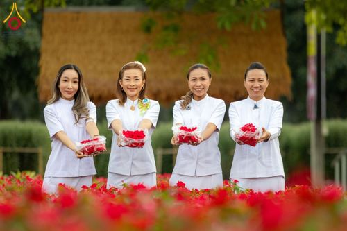 ภาพ No.185510:กิจกรรมเก็บดอกแพงรวย วันอาทิตย์ที่ 22 ธันวาคม พ.ศ. 2567 ณ ทุ่งสวรรค์ ตะวันฉาย วัดพระธรรมกาย