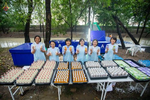 ภาพ No.88736:คณะสงฆ์ เจ้าหน้าที่ และสาธุชน ทุ่มเทแรงกายแรงใจเตรียมงาน เพื่องานวันครูผู้ค้นพบวิชชาธรรมกาย ตั้งแต่วันที่ 20 กันยายน พ.ศ. 2566