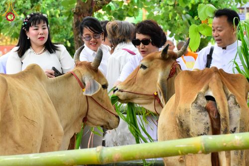 ภาพ No.210637:วันพฤหัสบดีที่ 13 มีนาคม พ.ศ. 2568  สมโภชพระประธานอุโบสถวัดป่าอุบลแก้ว จังหวัดอุบลราชธานี