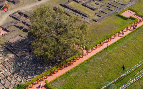 ภาพ No.132010:พิธีต้อนรับ พระ-สามเณร ธรรมยาตรา ในโครงการบรรพชา 1,250 รูป ณ แดนประสูติ สวนลุมพินี ประเทศเนปาล วันที่ 16-17 มีนาคม พ.ศ. 2567