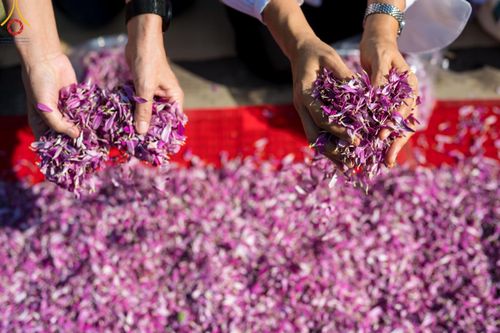 ภาพ No.110363:พิธีต้อนรับพระธรรมยาตรา ในโครงการธรรมยาตรากตัญญูบูชา มหาปูชนียาจารย์ พระมงคลเทพมุนี(สด จนฺทสโร) พระผู้ปราบมาร อนุสรณ์สถาน 7 แห่ง ปีที่ 12 วันที่ 11 มกราคม พ.ศ. 2567 ณ อนุสรณ์สถานลำดับที่ 3 สถานที่เกิดใหม่ในเพศสมณะ วัดสองพี่น้อง จ.สุพรรณบุรี
