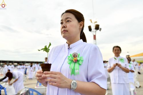 ภาพ No.252873:วันที่ 10 ตุลาคม พ.ศ. 2568 พิธีปลูกต้นทรัพย์บานชื่น ณ ลานธรรม วัดพระธรรมกาย