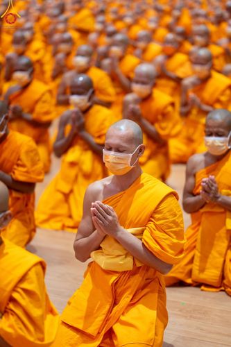 ภาพ No.124347:โครงการปฏิบัติธรรมพิเศษ ของพระธรรมยาตรา และพิธีมอบของขวัญสุดพิเศษ ณ World peace Valley เขาใหญ่ วันพุธที่ 21 กุมภาพันธ์ พ.ศ. 2567