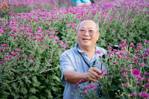 ภาพ No.186264:จิตอาสาอนุรักษ์สิ่งแวดล้อม รับบุญเก็บดอกเบญจทรัพย์ เพื่องานต้อนรับพระธรรมยาตรา ณ "ทุ่งสวรรค์ ตะวันฉาย" วัดพระธรรมกาบ วันที่ 22 ธันวาคม พ.ศ. 2567