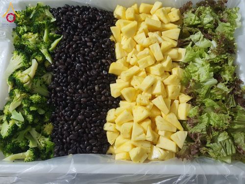 ภาพ No.197900:สาธุชนถวายภัตตาหารเป็นสังฆทาน แด่พระธรรมยาตรา ณ วัดโบสถ์(บน) ตำบลบางคูเวียง อำเภอบางกรวย จังหวัดนนทบุรี ในโครงการธรรมยาตรา กตัญญูบูชา มหาปูชนียาจารย์ พระมงคลเทพมุนี(สด จนฺทสโร) พระผู้ปราบมาร อนุสรณ์สถาน 7 แห่ง ปีที่ 13 วันที่ 19 มกราคม พ.ศ. 2568