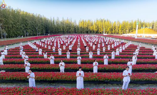 ภาพ No.280922:วันที่ 28 ธันวาคม พ.ศ.2568 กิจกรรมเก็บดอกแพงรวย ณ ทุ่งสวรรค์ตะวันฉาย วัดพระธรรมกาย