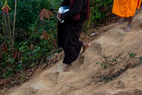 ภาพ No.130924:Photo Story ปฐมบรรพชาชาวพุทธมาร์มา Episode 4/5 วันที่ 13 กุมภาพันธ์พ.ศ. 2567 ณ วัดธัมจักร อรัญกุฏิ บังกลาเทศ