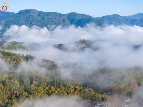 ภาพ No.184510:ปฐมกฐิน วัดพระธรรมกายนางาโน่ ประเทศญี่ปุ่น สร้างห้องครัวมหาทานบารมีและหอฉัน บูชาธรรม 80 ปีหลวงพ่อธัมมชโย วันที่ 13 พฤศจิกายน พ.ศ. 2567