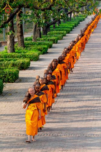 ภาพ No.212854:วันที่ 14 - 15 มีนาคม พ.ศ. 2568 คณะสงฆ์และสามเณรเดินธรรมยาตรา ในโครงการบวชสามเณรเนปาล 500 รูป ไปยังสถานที่รอบมายาเทวีและลุมพินีเกรด ณ ลุมพินี ประเทศเนปาล