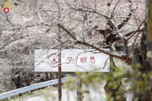 ภาพ No.221089:วันที่ 12 เมษายน พ.ศ. 2568 พิธีเปิดวัดพระธรรมกายนางาโน่ (แห่งใหม่) ประเทศญี่ปุ่น