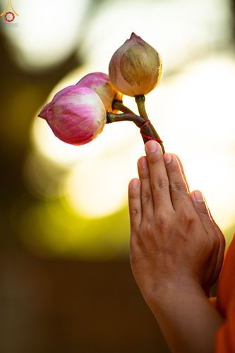 ภาพ No.101575:พิธีบรรพชาธรรมทายาท ในโครงการอุปสมบทบูชาธรรม มหาปูชนียาจารย์ พ.ศ. 2566 ณ วัดพระเจ้าตนหลวง อ.บ้านโฮ่ง จ.ลำพูน วันที่ 8 ธันวาคม พ.ศ. 2566