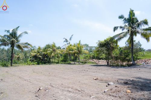 ภาพ No.155782:พิธีกลั่นแผ่นดิน ศูนย์ปฏิบัติธรรมบาหลีแห่งที่ 2  ตั้งอยู่ที่ Sumita, Gianyar, เกียนยัร บาหลี ประเทศอินโดนีเซีย ในวันที่ 20 กันยายน พ.ศ. 2567