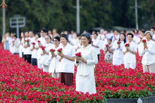 ภาพ No.280933:วันที่ 28 ธันวาคม พ.ศ.2568 กิจกรรมเก็บดอกแพงรวย ณ ทุ่งสวรรค์ตะวันฉาย วัดพระธรรมกาย