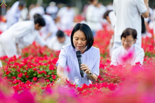 ภาพ No.280994:วันที่ 28 ธันวาคม พ.ศ.2568 กิจกรรมเก็บดอกแพงรวย ณ ทุ่งสวรรค์ตะวันฉาย วัดพระธรรมกาย