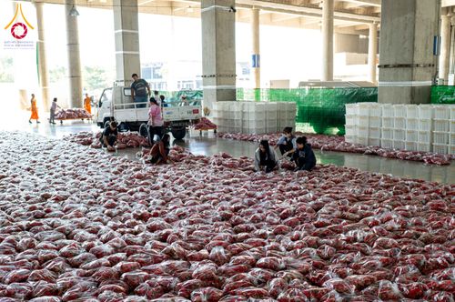 ภาพ No.279475:วันที่ 19-26 ธันวาคม พ.ศ. 2568 และ วันที่ 1 มกราคม พ.ศ.2569 รับบุญปลิดกลีบดอกไม้ เพื่อโปรยต้อนรับพระธรรมยาตรา