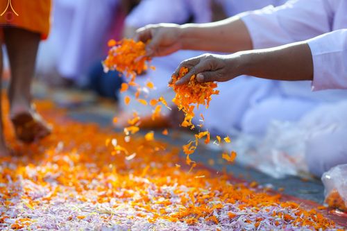 ภาพ No.70718:พิธีต้อนรับพระธรรมยาตรา ในโครงการธรรมยาตรากตัญญูบูชา มหาปูชนียาจารย์ พระมงคลเทพมุนี(สด จนฺทสโร) พระผู้ปราบมาร อนุสรณ์สถาน 7 แห่ง ปีที่ 11 วันที่ 14 มกราคม พ.ศ. 2566 ณ อนุสรณ์สถานลำดับที่ 3 สถานที่เกิดในเพศสมณะ วัดสองพี่น้อง อ.สองพี่น้อง จ.สุพรรณบุรี