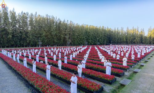 ภาพ No.280921:วันที่ 28 ธันวาคม พ.ศ.2568 กิจกรรมเก็บดอกแพงรวย ณ ทุ่งสวรรค์ตะวันฉาย วัดพระธรรมกาย