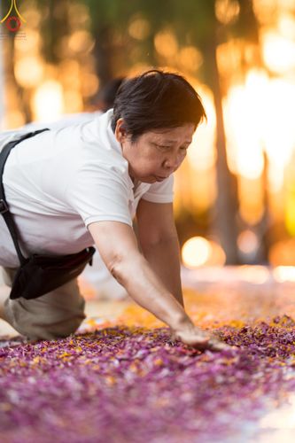 ภาพ No.105827:V.2 ทุ่มเท การเตรียมงาน เก็บงาน การรับบุญของเจ้าหน้าที่หน่วยงานต่างๆ เพื่อโครงการธรรมยาตรา กตัญญูบูชามหาปูชนียาจารย์ พระมงคลเทพมุนี (สด จนฺทสโร) พระผู้ปราบมาร อนุสรณ์สถาน 7 แห่ง ปีที่ 12 ระหว่างวันที่ 2 - 31 มกราคม พ.ศ.2567