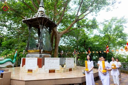 ภาพ No.344493:วันที่ 8-11 สิงหาคม พ.ศ.2569 “ประเพณีเข้าพรรษา เชื่อมพระพุทธศาสนาสองแผ่นดิน” ถวายเทียนพรรษา 9 วัด ณ นครโฮจิมินห์ สาธารณรัฐสังคมนิยมเวียดนาม
