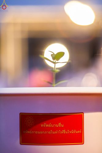 ภาพ No.90226:พิธีปลูกทรัพย์บานชื่น  เนื่องใน 139 ปี วันคล้ายวันเกิดด้วยรูปกายเนื้อ พระมงคลเทพมุนี (สด จนฺทสโร) พระผู้ปราบมาร วันอังคารที่ 10 ตุลาคม พ.ศ. 2566 ณ วัดพระธรรมกาย จ.ปทุมธานี