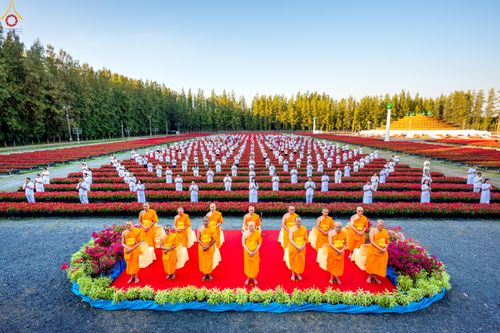 ภาพ No.280916:วันที่ 28 ธันวาคม พ.ศ.2568 กิจกรรมเก็บดอกแพงรวย ณ ทุ่งสวรรค์ตะวันฉาย วัดพระธรรมกาย