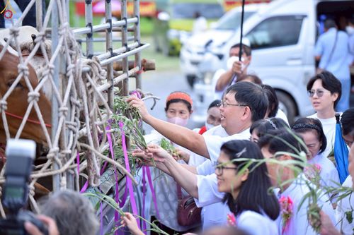 ภาพ No.241357:วันอาทิตย์ที่ 24 สิงหาคม พ.ศ.2568 พิธีปฐมผ้าป่าสถาปนาองค์พระเจดีย์เพื่อสร้างสันติภาพโลก พิธีไถ่ชีวิตโค สร้างมหากุศลด้วยการให้ชีวิตสัตว์เป็นทาน ณ ศูนย์ปฏิบัติธรรมสระบุรี อ.พระพุทธบาท จ.สระบุรี