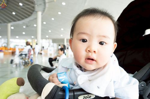 ภาพ No.240132:วันเสาร์ที่ 23 สิงหาคม พ.ศ. 2568 (วันพระ แรม 14 ค่ำ เดือน 9) พิธีบุพเปตพลี ครั้งที่ 169 ร่วมอุทิศบุญแด่หมู่ญาติที่ล่วงลับไปแล้ว และสืบทอดอายุพระพุทธศาสนา ณ หอฉันคุณยายอาจารย์ฯ วัดพระธรรมกาย