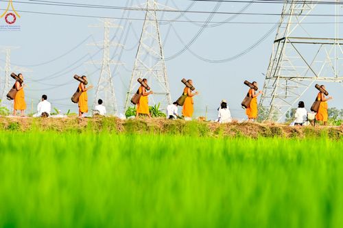 ภาพ No.116677:พิธีต้อนรับพระธรรมยาตรา ปีที่ 12 ณ อนุสรณ์สถานบางปลา จ.นครปฐม วันที่ 21 มกราคม พ.ศ. 2567