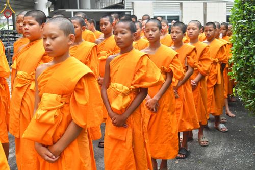 ภาพ No.182395:พิธีถวายภัตตาหารเมนูสวรรค์ "เพื่อการบรรลุธรรม" วันเสาร์ที่ 14 ธันวาคม พ.ศ. 2567 ณ หอฉันคุณยายอาจารย์ฯ วัดพระธรรมกาย