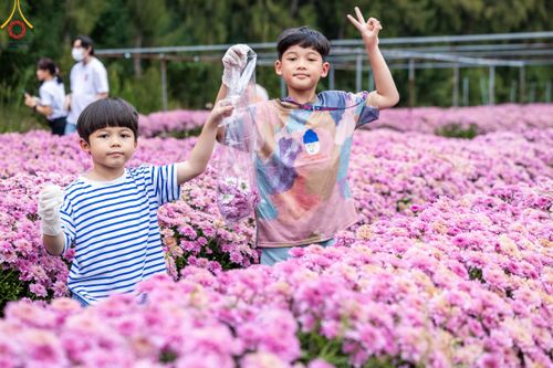 ภาพ No.104071:สาธุชนร่วมรับบุญเก็บดอกเบญจทรัพย์ ในวันอาทิตย์ที่ 24 ธันวาคม พ.ศ. 2566 ณ ทุ่งสวรรค์ตะวันฉาย บริเวณวัดพระธรรมกาย จ.ปทุมธานี