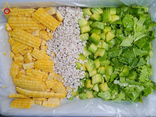 ภาพ No.201488:พิธีถวายภัตตาหารเป็นสังฆทาน แด่พระธรรมยาตรา ณ อนุสรณ์สถานบางปลา วัดบางปลา อำเภอบางเลน จังหวัดนครปฐม ในโครงการธรรมยาตรา กตัญญูบูชา มหาปูชนียาจารย์ พระมงคลเทพมุนี(สด จนฺทสโร) พระผู้ปราบมาร อนุสรณ์สถาน 7 แห่ง ปีที่ 13 วันที่ 25 มกราคม พ.ศ. 2568