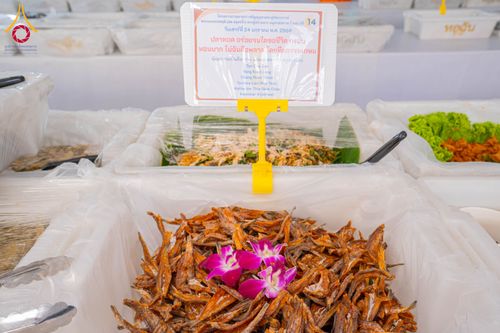 ภาพ No.301860:วันที่ 24 มกราคม พ.ศ. 2569 พิธีถวายภัตตาหารเป็นสังฆทาน แด่พระธรรมยาตรา ณ อนุสรณ์สถานบางปลา วัดบางปลา อำเภอบางเลน จังหวัดนครปฐม ในโครงการธรรมยาตรา กตัญญูบูชา มหาปูชนียาจารย์ พระมงคลเทพมุนี(สด จนฺทสโร) พระผู้ปราบมาร อนุสรณ์สถาน 7 แห่ง ปีที่ 14