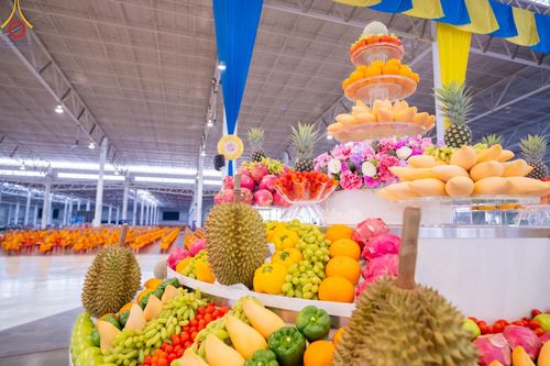 ภาพ No.136749:พิธีตักบาตร พิธีบูชาข้าวพระ ในวันอาทิตย์ต้นเดือนที่ 5 พฤษภาคม พ.ศ. 2567 ณ วัดพระธรรมกาย จ.ปทุมธานี