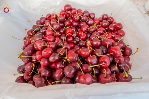 ภาพ No.295917:วันที่ 17 มกราคม พ.ศ. 2569 พิธีถวายภัตตาหารเป็นสังฆทาน แด่พระธรรมยาตรา ณ วัดโบสถ์บน ต.บางคูเวียง จ.นนทบุรี อนุสรณ์สถานลำดับที่ 4 สถานที่เกิดด้วยกายธรรม ในโครงการธรรมยาตรา กตัญญูบูชา มหาปูชนียาจารย์ พระมงคลเทพมุนี(สด จนฺทสโร) พระผู้ปราบมาร อนุสรณ์สถาน 7 แ