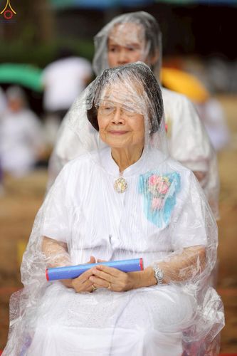 ภาพ No.234066:วันอาทิตย์ที่ 20 กรกฎาคม พ.ศ.2568 พิธีทอดผ้าป่า และพิธีตอกเสาเข็มต้นแรก สร้างอาคารปฏิบัติธรรมพระมงคลเทพมุนี ณ ศูนย์ปฏิบัติธรรมสุราษฏร์ธานี