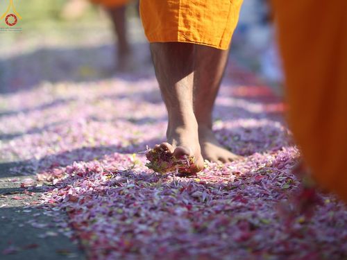 ภาพ No.195461:พิธีต้อนรับพระธรรมยาตรา ณ อนุสรณ์สถานลำดับที่ 4 สถานที่เกิดด้วยกายธรรม วัดโบสถ์(บน) ต.บางคูเวียง จ.นนทบุรี ในโครงการธรรมยาตรา กตัญญูบูชา มหาปูชนียาจารย์ พระมงคลเทพมุนี(สด จนฺทสโร) พระผู้ปราบมาร อนุสรณ์สถาน 7 แห่ง ปีที่ 13 วันที่ 15 มกราคม พ.ศ. 2568