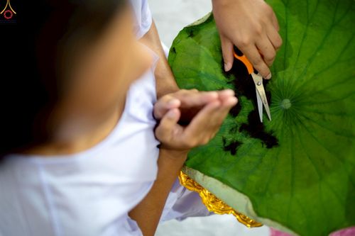 ภาพ No.228508:วันเสาร์ที่ 7 มิถุนายน พ.ศ. 2568 พิธีปลงผมโครงการอุปสมบทหมู่ธรรมทายาท ระดับอุดมศึกษา รุ่นที่ 52 ภาคฤดูฝน ณ วิหารคด 9 วัดพระธรรมกาย