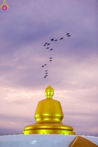 ภาพ No.118457:พิธีตักบาตรพระธรรมยาตรา ปีที่ 12 ณ อนุสรณ์สถานลำดับที่ 5 สถานที่เผยแผ่วิชชาธรรมกายครั้งแรก อนุสรณ์สถานบางปลา จ.นครปฐม วันที่ 25 มกราคม พ.ศ. 2567