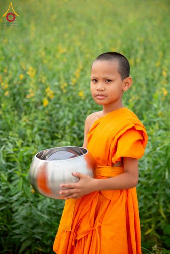 ภาพ No.217928:วันศุกร์ที่ 11 เมษายน พ.ศ. 2568 พระและสามเณร 99 รูป จากศูนย์ปฏิบัติธรรมระยอง(บ้านช่องลม) บิณฑบาต ณ ทุ่งปอเทือง ต.บางบุตร อ.บ้านค่าย จ.ระยอง เพื่อเป็นการฝึกสามเณรภาคฤดูร้อน ผ่านกิจวัตรบิณฑบาตในพื้นที่ชุมชน