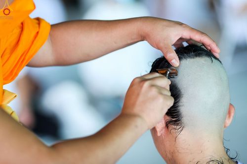 ภาพ No.82511:พิธีปลงผมนาคธรรมทายาท ในโครงการธรรมทายาทระดับอุดมศึกษา รุ่นที่ 50 ภาคฤดูฝน ในวันที่ 10 มิถุนายน พ.ศ. 2566 ณ วัดพระธรรมกาย