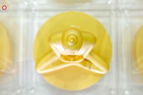 ภาพ No.159467:สัมมนาพิเศษและพิธีมอบองค์พระธรรมกาย 2,000 องค์ ณ ห้องแก้วสารพัดนึก 1 วัดพระธรรมกาย วันอาทิตย์ต้นเดือนที่ 6 ตุลาคม พ.ศ. 2567