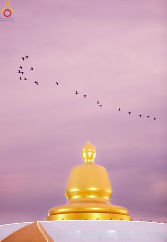 ภาพ No.118456:พิธีตักบาตรพระธรรมยาตรา ปีที่ 12 ณ อนุสรณ์สถานลำดับที่ 5 สถานที่เผยแผ่วิชชาธรรมกายครั้งแรก อนุสรณ์สถานบางปลา จ.นครปฐม วันที่ 25 มกราคม พ.ศ. 2567