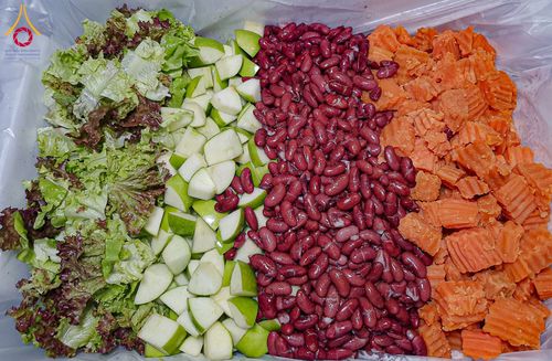 ภาพ No.198316:พิธีถวายภัตตาหารเป็นสังฆทาน แด่พระธรรมยาตรา ณ อนุสรณ์สถานบางปลา วัดบางปลา อำเภอบางเลน จังหวัดนครปฐม ในโครงการธรรมยาตรา กตัญญูบูชา มหาปูชนียาจารย์ พระมงคลเทพมุนี(สด จนฺทสโร) พระผู้ปราบมาร อนุสรณ์สถาน 7 แห่ง ปีที่ 13 วันที่ 20 มกราคม พ.ศ. 2568