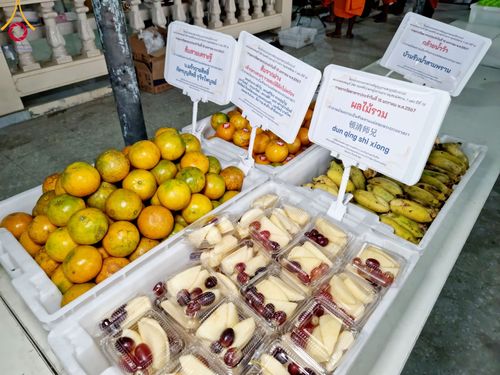 ภาพ No.112878:พิธีถวายภัตตาหารเป็นสังฆทาน แด่คณะพระธรรมยาตรา ปีที่ 12 วันที่ 15 มกราคม พ.ศ. 2567 ณ วัดสองพี่น้อง จ.สุพรรณบุรี