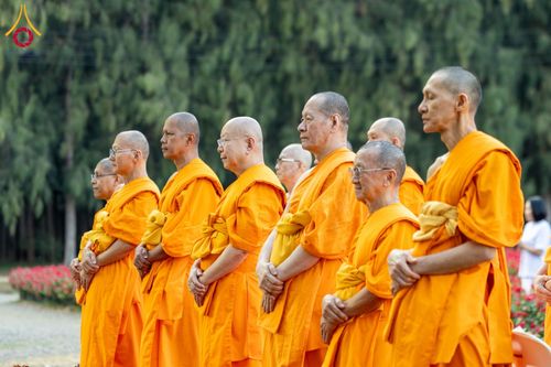 ภาพ No.185456:กิจกรรมเก็บดอกแพงรวย วันอาทิตย์ที่ 22 ธันวาคม พ.ศ. 2567 ณ ทุ่งสวรรค์ ตะวันฉาย วัดพระธรรมกาย