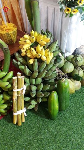 ภาพ No.168373:พิธีทอดกฐิน 4 วัด จ.ปราจีนบุรี โครงการกฐินสามัคคีทั่วไทย 30,000 วัด โดยคณะศิษยานุศิษย์วัดพระธรรมกาย บูชาธรรม 80 ปี หลวงพ่อธัมมชโย วันที่ 26-27 ตุลาคม พ.ศ. 2567