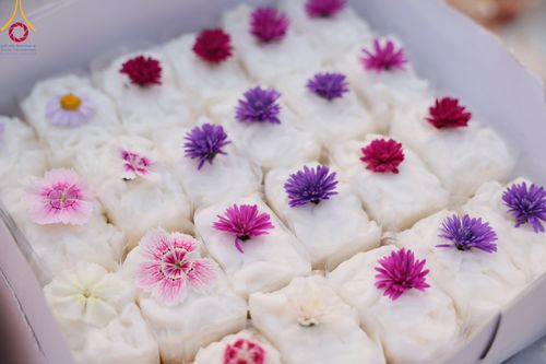 ภาพ No.110671:พิธีถวายภัตตาหารเป็นสังฆทาน แด่คณะพระธรรมยาตราฯ ในโครงการธรรมยาตรากตัญญูบูชา มหาปูชนียาจารย์ พระมงคลเทพมุนี(สด จนฺทสโร) พระผู้ปราบมาร อนุสรณ์สถาน 7 แห่ง ปีที่ 12 วันที่ 12 มกราคม พ.ศ. 2567 ณ อนุสรณ์สถานมหาวิหารพระมงคลเทพมุนี(โลตัสแลนด์) อ.สองพี่น้อง จ.สุ