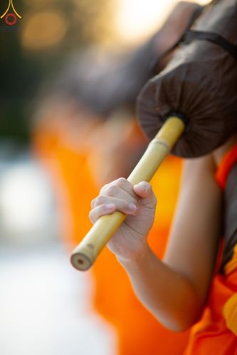 ภาพ No.186906:พระธรรมยาตราปฏิบัติธรรม และถ่ายภาพหมู่ประวัติศาสตร์ ปีที่ 13 ณ ลานทิศตะวันออก มหาวิหารพระมงคลเทพมุนี วัดพระธรรมกาย จ.ปทุมธานี วันเสาร์ที่ 28 ธันวาคม พ.ศ. 2567