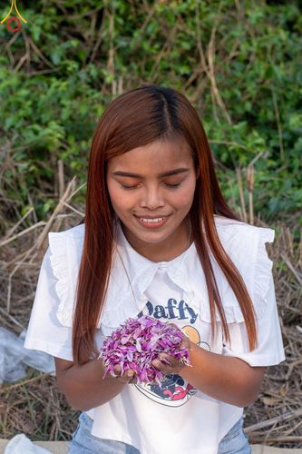 ภาพ No.116603:พิธีต้อนรับพระธรรมยาตรา ปีที่ 12 ณ อนุสรณ์สถานบางปลา จ.นครปฐม วันที่ 21 มกราคม พ.ศ. 2567
